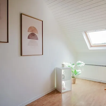 Apartment Duplex Proche Centre Strasbourg