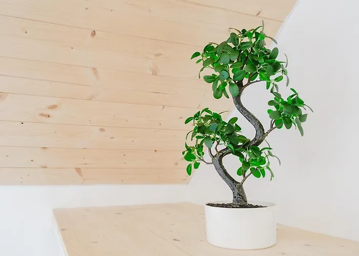 Duplex Proche Centre Apartamento *